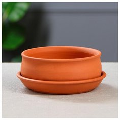 Кашпо для кактусов и суккулентов «Бонсайница», Ø 15 см 5162997 Красная глина