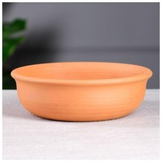 Кашпо для кактусов и суккулентов «Бонсайница», Ø 20 см 5404678 Красная глина