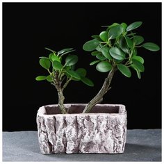 Кашпо керамическое "Дерево" 15*7*8см 5274550 Take It Easy