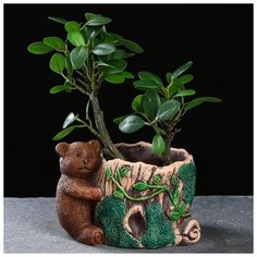 Кашпо керамическое "Медведь у пенька" 15*11*10см 5274559 Take It Easy