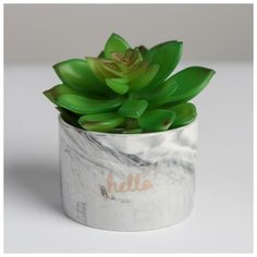 Керамическое кашпо с тиснением «Привет», 8 х 5,5 см 5114077 Дарите счастье