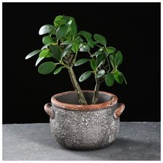 Кашпо керамическое "Горшочек" 10*8см 5274562 Take It Easy