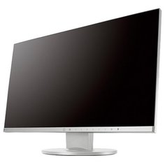 Монитор Eizo FlexScan EV2450 23.8", серый