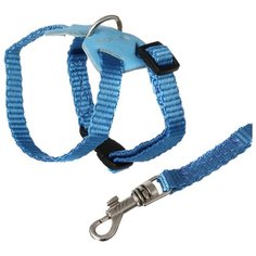 Шлейка COLLAR с поводком Extreme (6951/6952/6953) синий