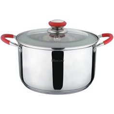 Кастрюля из нержавеющей стали с крышкой Mercury, 6 л, арт. RR1738920