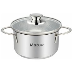 Кастрюля из нержавеющей стали с крышкой Mercury, 0,7 л