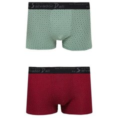 Salvador Dali Набор трусов боксеры с принтом и профилированным гульфиком, 2 шт., размер XXL, зеленый/бордовый