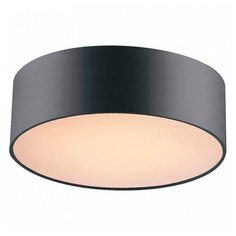 Накладной светильник Favourite Cerchi 1514-2C1