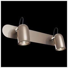 Спот Maytoni Alcor SP311-CW-02-N