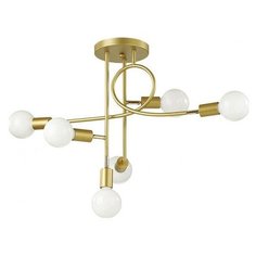 Потолочная люстра Lumion Karma 4542/6C