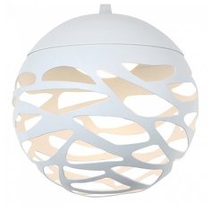 Подвесной светильник Favourite Enigma 1603-1P