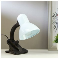 Настольная лампа на прищепке RISALUX 3723905, 40 Вт