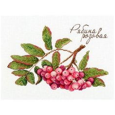 "М.П.Студия" набор для вышивания НВ №104 №693 "Дары природы. Рябина розовая" 20 х 15 см