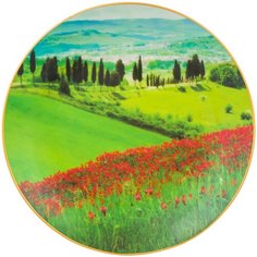Тарелка декоративная настенная Elan gallery Зеленый луг и маковое поле, 20 см зеленый/красный