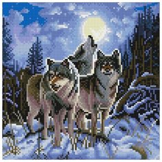 Алмазная мозаика "Ночное трио" (27 цветов) Molly