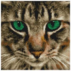 Алмазная мозаика "Бенгальская кошка" (15 цветов) Molly