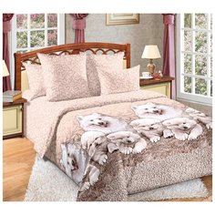 Постельное белье перкаль джесси (бежевый) Семейное Iv Selena