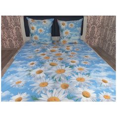 Постельное белье Шуйская бязь 96601 2-х спальное Iv Selena