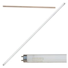 Лампа люминесцентная PHILIPS TL-D 58W/54-765, 58 Вт, цоколь G13, в виде трубки 150 см, холодный дневной свет, 815900, 2 шт.