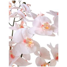 Орхидея Фаленопсис 7 веток в керамическом кашпо полусфера 17-956/010/1172, цвет: бледно-розовый Gerard de ros