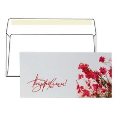 Конверт С65 (114х229 мм) "Поздравляем", отрывная полоса, 1 штука в упаковке с европодвесом, 4011323, 5 шт. Курт
