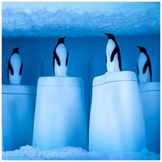 Форма для мороженого Penguin on ice Qualy