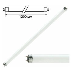 Лампа люминесцентная PHILIPS TL-D 36W/33-640, 36 Вт, цоколь G13, в виде трубки 120 см, 3 шт.