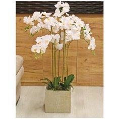 Орхидея фаленопсис 7 веток в керамическом кашпо Куб 17-640/1020, цвет: белый Gerard de ros