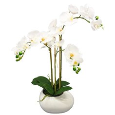 Орхидея фаленопис 3 ветки в керамическом кашпо Камень белое 17-630/010/1020, цвет: белый Gerard de ros