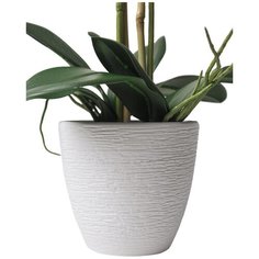 Орхидея Фаленопсис 2 ветки в керамическом белом кашпо 17-703/1172, цвет: бледно-розовый Gerard de ros