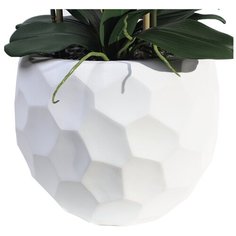 Орхидея Фаленопсис 7 веток в керамическом кашпо полусфера 17-956/010/1081, цвет: ярко-розовый Gerard de ros