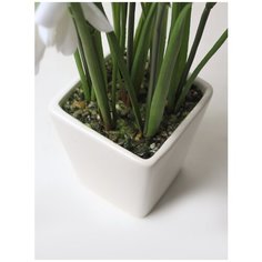 Подснежники в керамическом кашпо 15-957/010, цвет: белый Gerard de ros