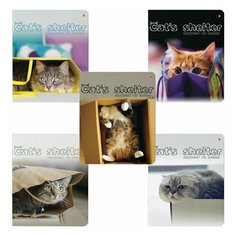 Тетрадь А5 48 л. АЛЬТ скоба, клетка, глянцевый лак, "КОШКИН ДОМ", 7-48-824, 40 шт.