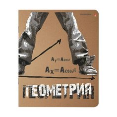 Тетрадь предметная КРУТАЯ ТЕМА 48 листов, объемная печать, ГЕОМЕТРИЯ, клетка, АЛЬТ, 7-48-1101/05, 20 шт.