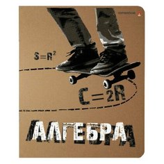 Тетрадь предметная КРУТАЯ ТЕМА 48 листов, объемная печать, АЛГЕБРА, клетка, АЛЬТ, 7-48-110, 7-48-1101/09, 20 шт.