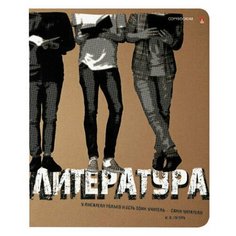Тетрадь предметная КРУТАЯ ТЕМА 48 листов, объемная печать, ЛИТЕРАТУРА, линия, АЛЬТ, 7-48-1, 7-48-1101/02, 20 шт.