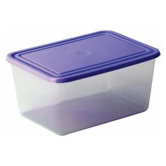 Контейнер 4 л, с крышкой, герметичный, универсальный, хранение и СВЧ, 12х19х25 см, IDEA, М 1455, 2 шт.