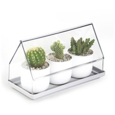 Лоток для выращивания растений Micro Green House прозрачный Qualy