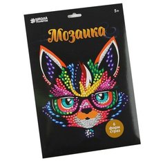 Школа талантов Набор для творчества мозаика стразами Кот в очках (4072937)