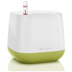 13872 Кашпо LECHUZA Юла бел/фисташковый