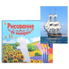 Картина по номерам Рыжий кот Холст с красками, 22*30 см, Морское плавание (HS342)