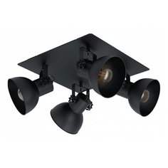 Спот Eglo Barnstaple 1 43434