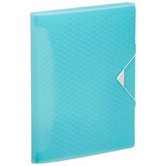 Esselte Папка-органайзер ColourIce А4, пластик, 6 отделений синий