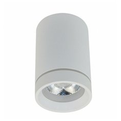 Спот APL.0054.09.10 APLOYT Edda