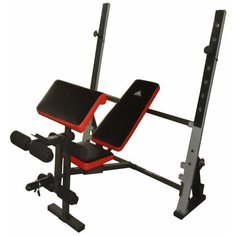 Скамья под штангу с опциями DFC D1066
