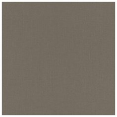 Обои Rasch Poetry 423990 10.05x0.53, винил на флизелине