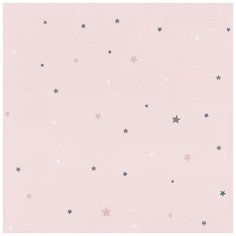 Обои Rasch 245233 , винил на флизелине, 10,05 х 0,53 м