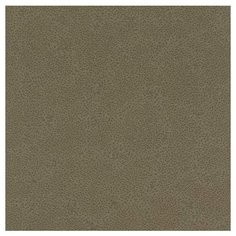 Обои Rasch Распродажа Miracle 422078 , винил на флизелине, 10,05 х 0,53 м