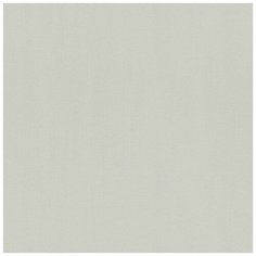 Обои Rasch Hyde Park 411874 , винил на флизелине, 10,05 х 0,53 м