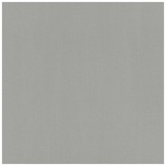 Обои Rasch Hyde Park 411966 , винил на флизелине, 10,05 х 0,53 м